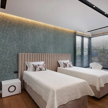 Luxury Excellence With A Pool Vila